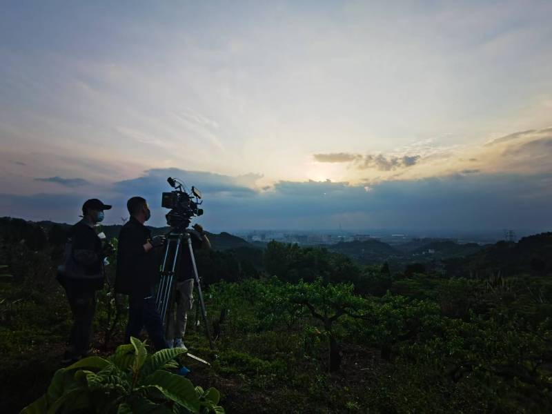 聚焦召陵区产品宣传视频拍摄公司，用专业实力铸就品牌传播传奇